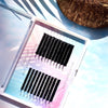 tropical lash tray